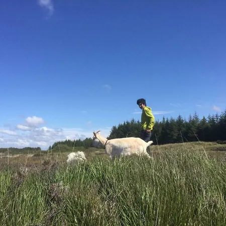 公寓 On Traditional Organic Farm *